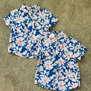 Crewcuts boys short sleeve toddler button down